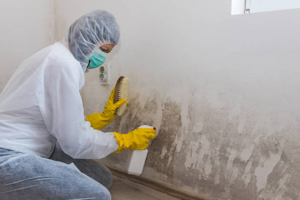 Best Crawl Space Mold Removal  in Easton, CA