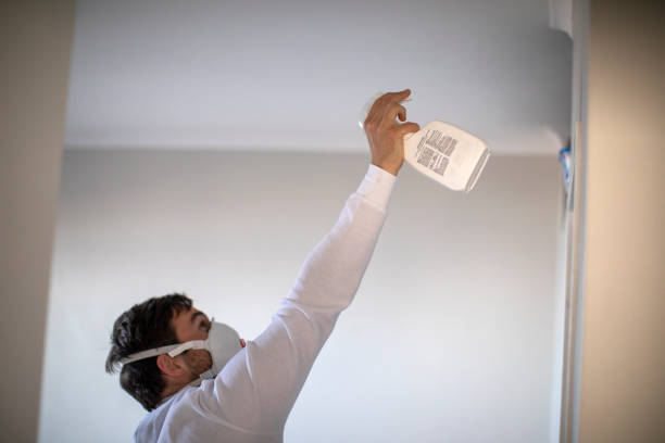 Best Attic Mold Removal  in Easton, CA